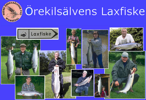Örekilsälvens Laxfiske, Munkedal